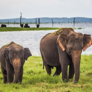 The Wild & Heritage Trail